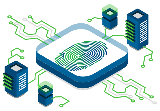Biometric Fingerprint Identification
